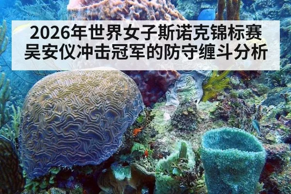 2026年世界女子斯诺克锦标赛吴安仪冲击冠军的防守缠斗分析